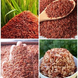 লাল বিন্নি ধানের বীজ (ঐতিহ্যবাহী হাইব্রিড)