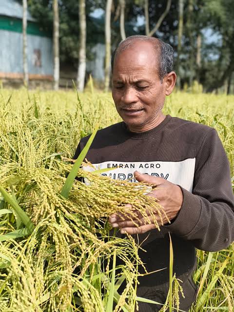 প্যাকিং ভিউ